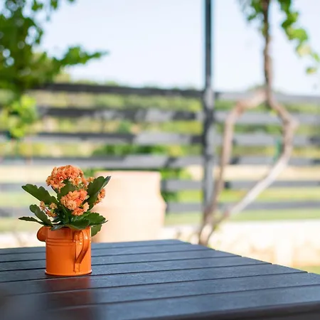 Stancia Rosa - Cozy Apartment Porec